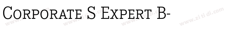 Corporate S Expert B字体转换